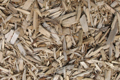 biomass boilers Otterwood